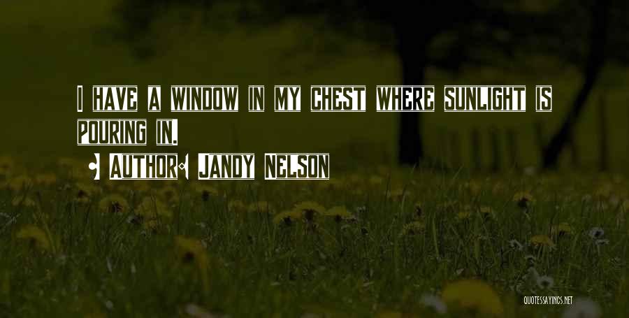 Jandy Nelson Quotes: I Have A Window In My Chest Where Sunlight Is Pouring In.