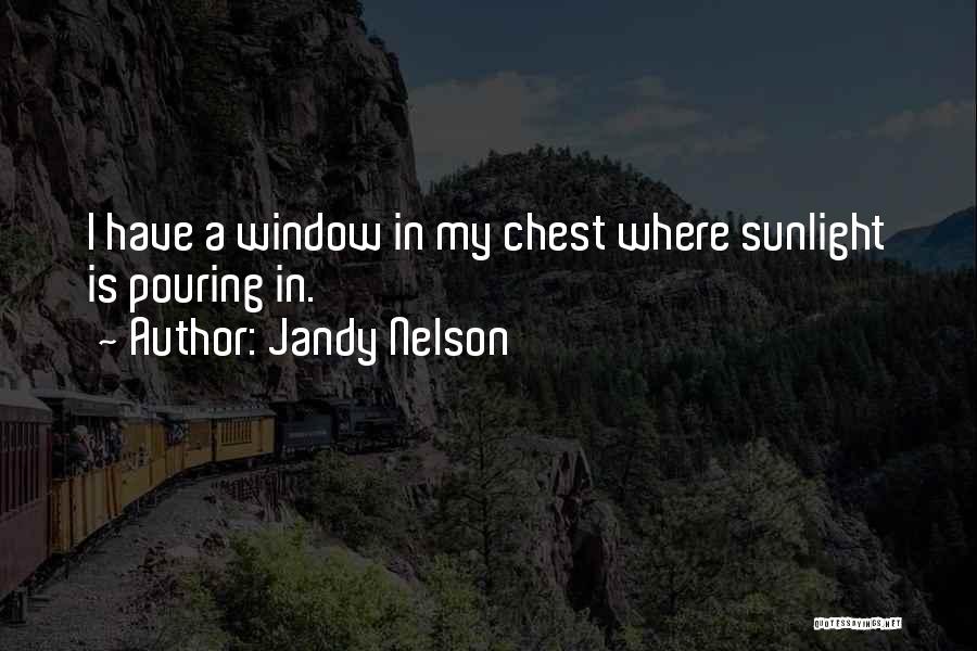 Jandy Nelson Quotes: I Have A Window In My Chest Where Sunlight Is Pouring In.