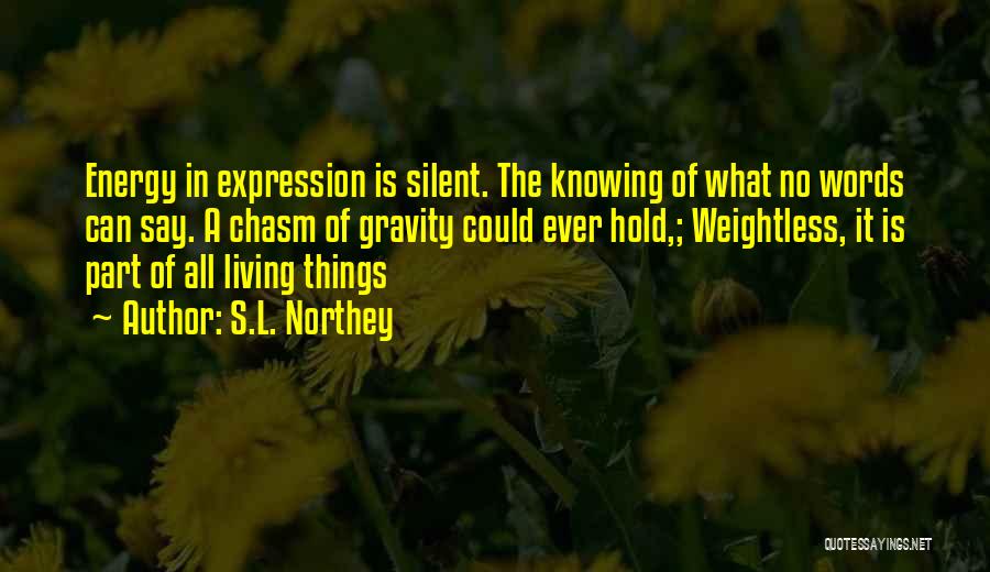 S.L. Northey Quotes: Energy In Expression Is Silent. The Knowing Of What No Words Can Say. A Chasm Of Gravity Could Ever Hold,;
