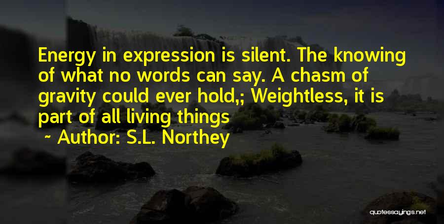 S.L. Northey Quotes: Energy In Expression Is Silent. The Knowing Of What No Words Can Say. A Chasm Of Gravity Could Ever Hold,;