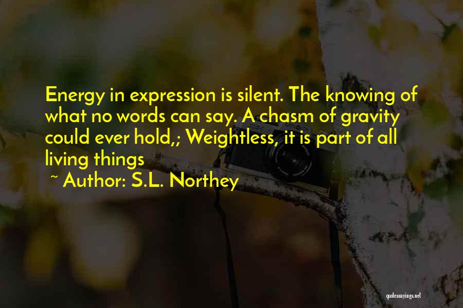 S.L. Northey Quotes: Energy In Expression Is Silent. The Knowing Of What No Words Can Say. A Chasm Of Gravity Could Ever Hold,;