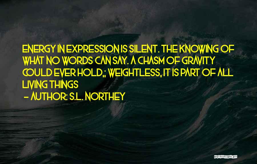 S.L. Northey Quotes: Energy In Expression Is Silent. The Knowing Of What No Words Can Say. A Chasm Of Gravity Could Ever Hold,;