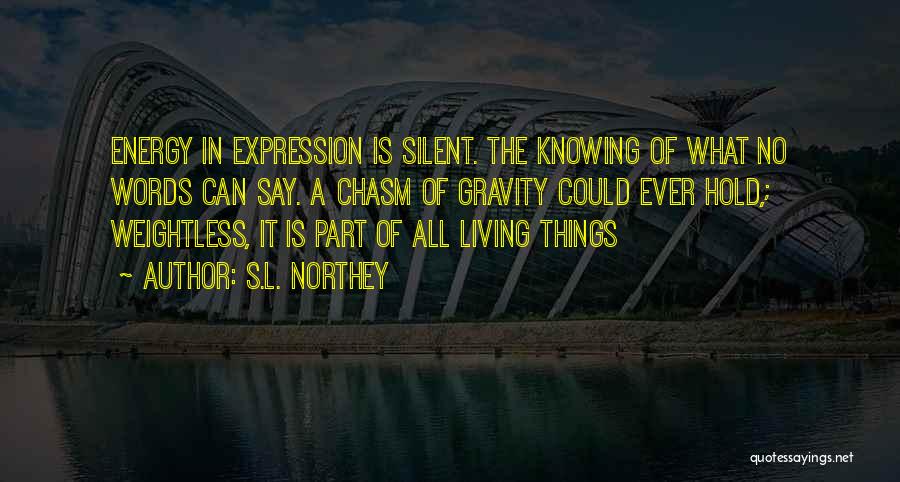S.L. Northey Quotes: Energy In Expression Is Silent. The Knowing Of What No Words Can Say. A Chasm Of Gravity Could Ever Hold,;
