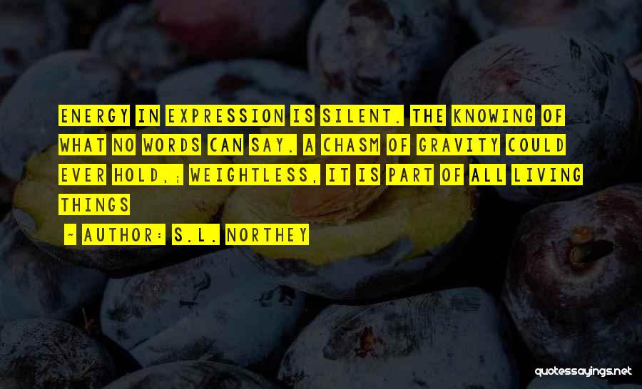 S.L. Northey Quotes: Energy In Expression Is Silent. The Knowing Of What No Words Can Say. A Chasm Of Gravity Could Ever Hold,;