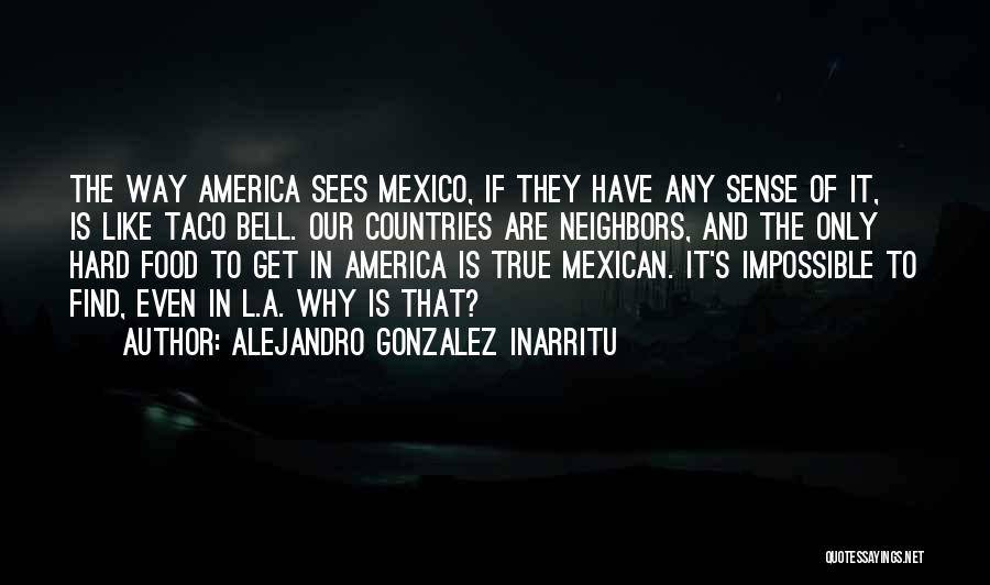 Alejandro Gonzalez Inarritu Quotes: The Way America Sees Mexico, If They Have Any Sense Of It, Is Like Taco Bell. Our Countries Are Neighbors,