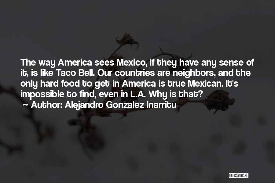 Alejandro Gonzalez Inarritu Quotes: The Way America Sees Mexico, If They Have Any Sense Of It, Is Like Taco Bell. Our Countries Are Neighbors,
