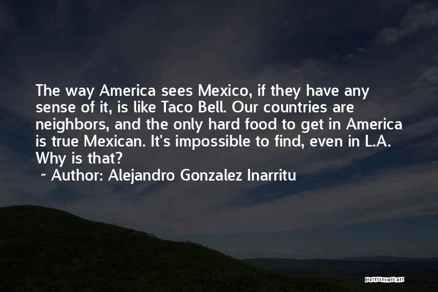 Alejandro Gonzalez Inarritu Quotes: The Way America Sees Mexico, If They Have Any Sense Of It, Is Like Taco Bell. Our Countries Are Neighbors,