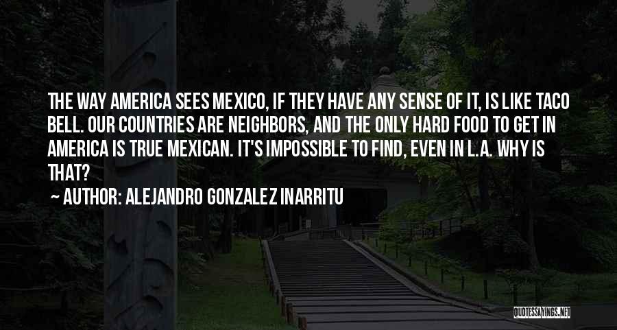 Alejandro Gonzalez Inarritu Quotes: The Way America Sees Mexico, If They Have Any Sense Of It, Is Like Taco Bell. Our Countries Are Neighbors,