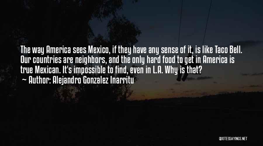 Alejandro Gonzalez Inarritu Quotes: The Way America Sees Mexico, If They Have Any Sense Of It, Is Like Taco Bell. Our Countries Are Neighbors,