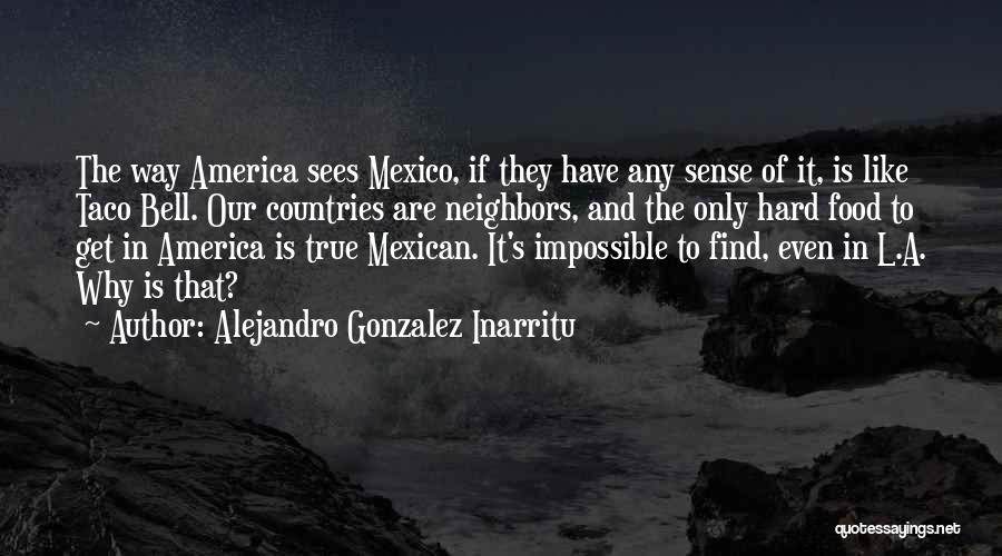 Alejandro Gonzalez Inarritu Quotes: The Way America Sees Mexico, If They Have Any Sense Of It, Is Like Taco Bell. Our Countries Are Neighbors,