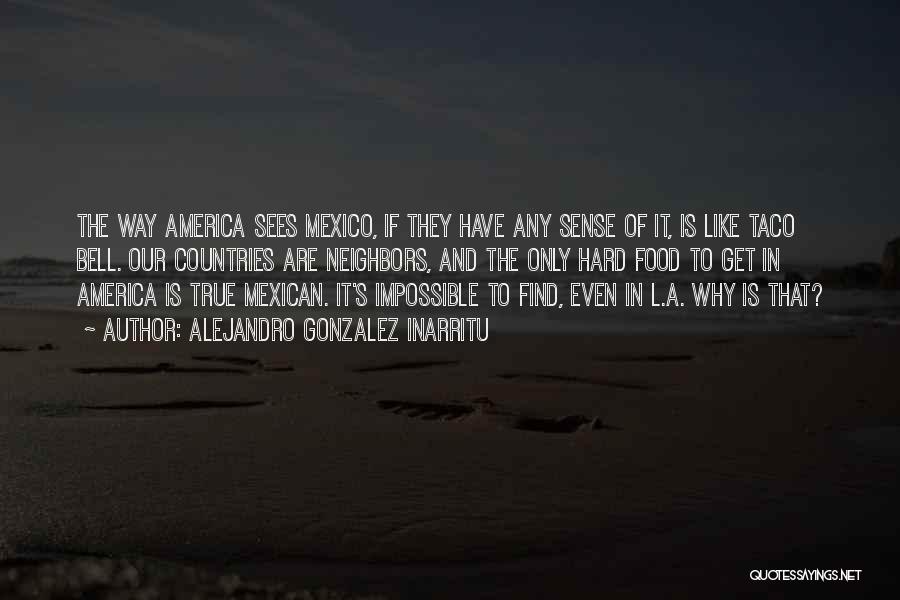 Alejandro Gonzalez Inarritu Quotes: The Way America Sees Mexico, If They Have Any Sense Of It, Is Like Taco Bell. Our Countries Are Neighbors,