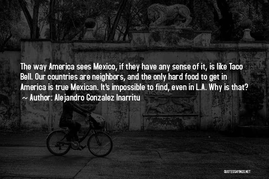 Alejandro Gonzalez Inarritu Quotes: The Way America Sees Mexico, If They Have Any Sense Of It, Is Like Taco Bell. Our Countries Are Neighbors,