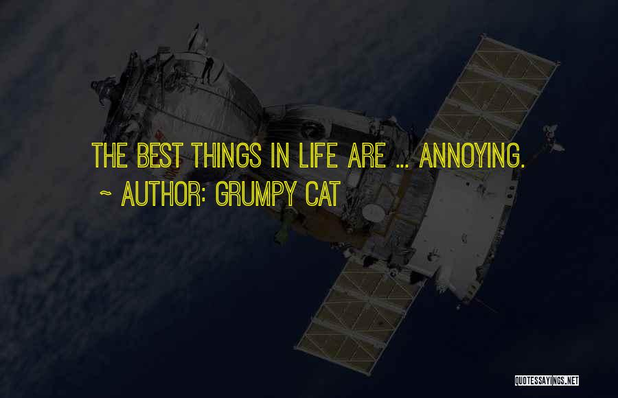 Grumpy Cat Quotes: The Best Things In Life Are ... Annoying.