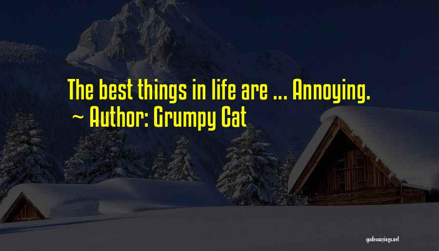 Grumpy Cat Quotes: The Best Things In Life Are ... Annoying.