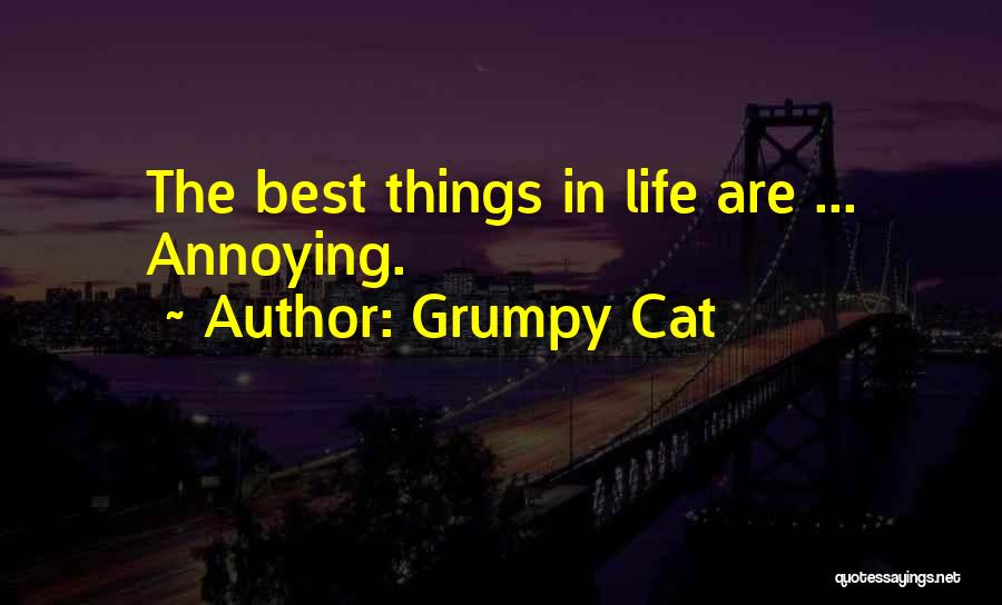 Grumpy Cat Quotes: The Best Things In Life Are ... Annoying.