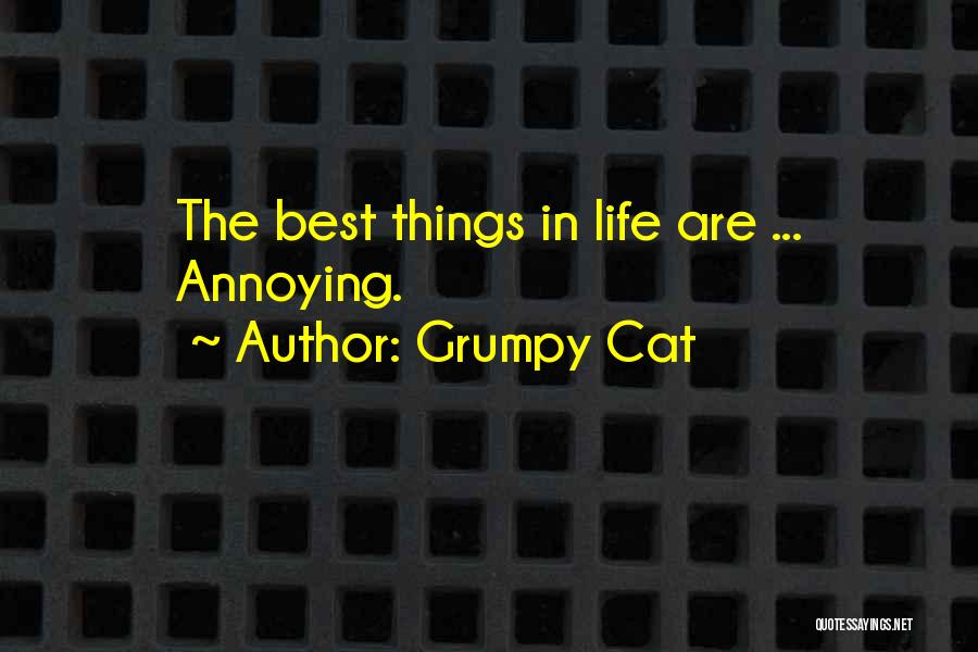 Grumpy Cat Quotes: The Best Things In Life Are ... Annoying.