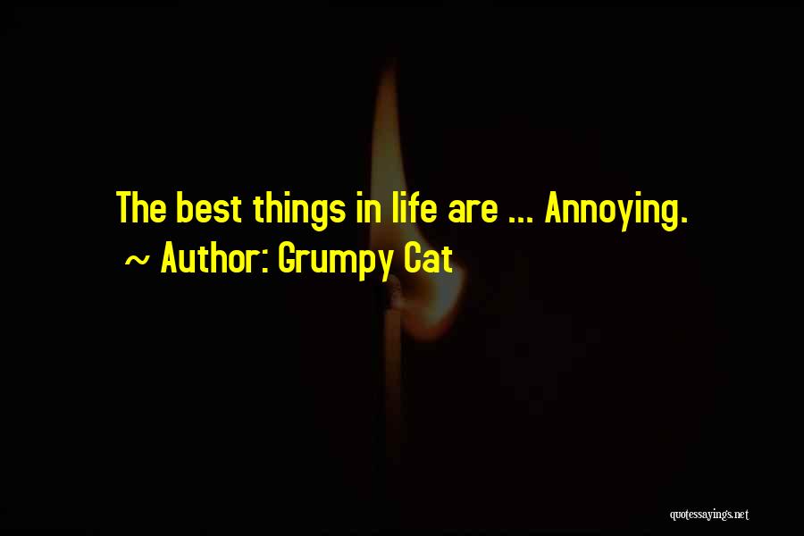 Grumpy Cat Quotes: The Best Things In Life Are ... Annoying.