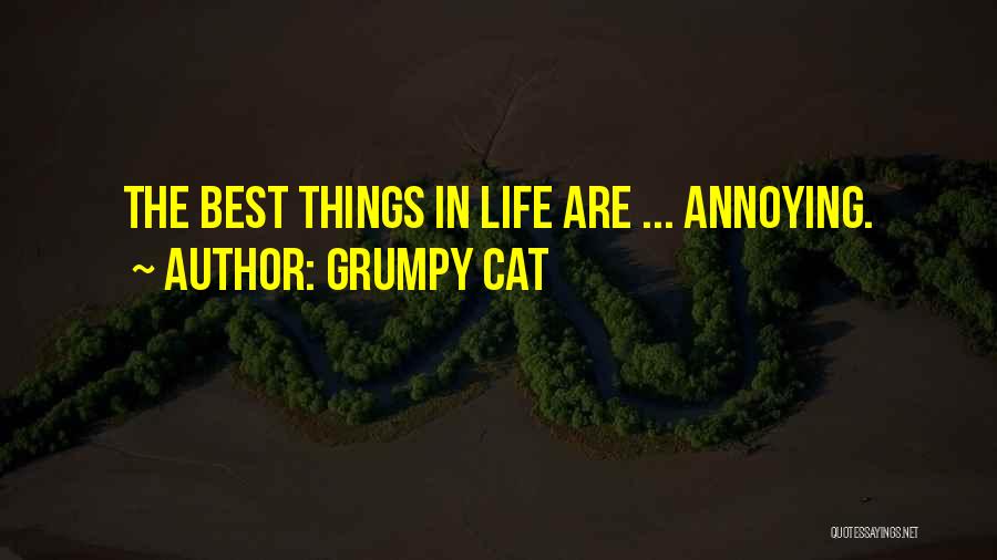 Grumpy Cat Quotes: The Best Things In Life Are ... Annoying.