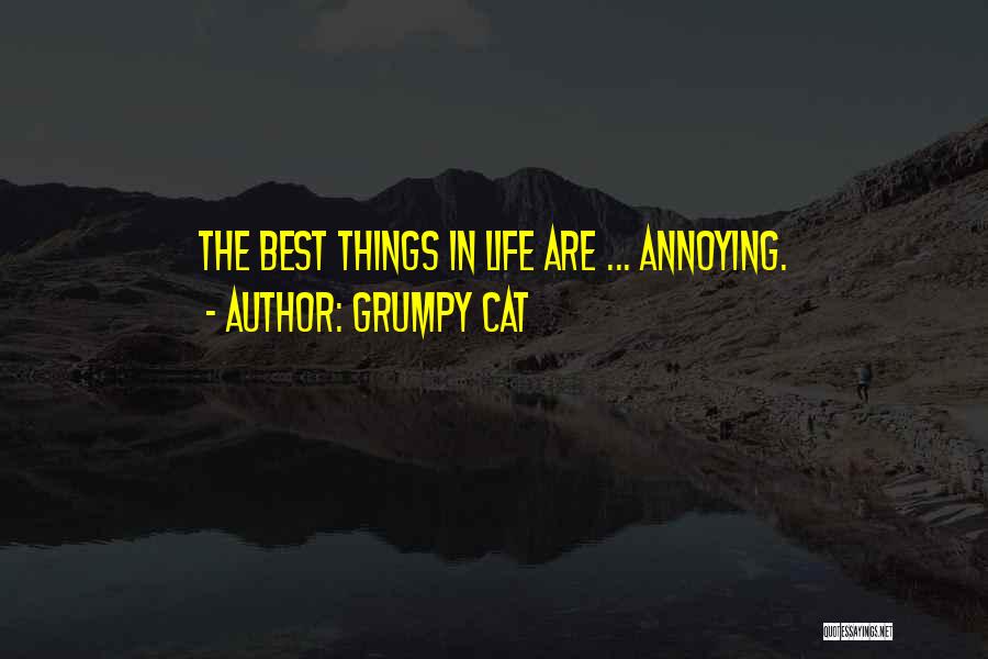 Grumpy Cat Quotes: The Best Things In Life Are ... Annoying.