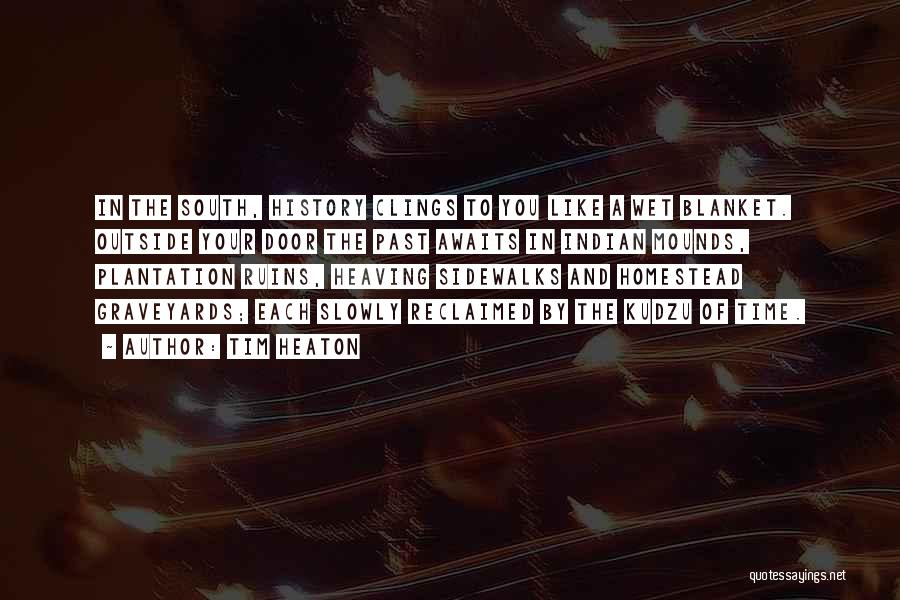 Tim Heaton Quotes: In The South, History Clings To You Like A Wet Blanket. Outside Your Door The Past Awaits In Indian Mounds,