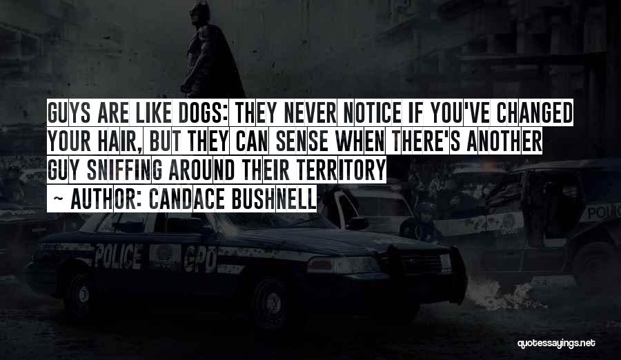 Candace Bushnell Quotes: Guys Are Like Dogs: They Never Notice If You've Changed Your Hair, But They Can Sense When There's Another Guy