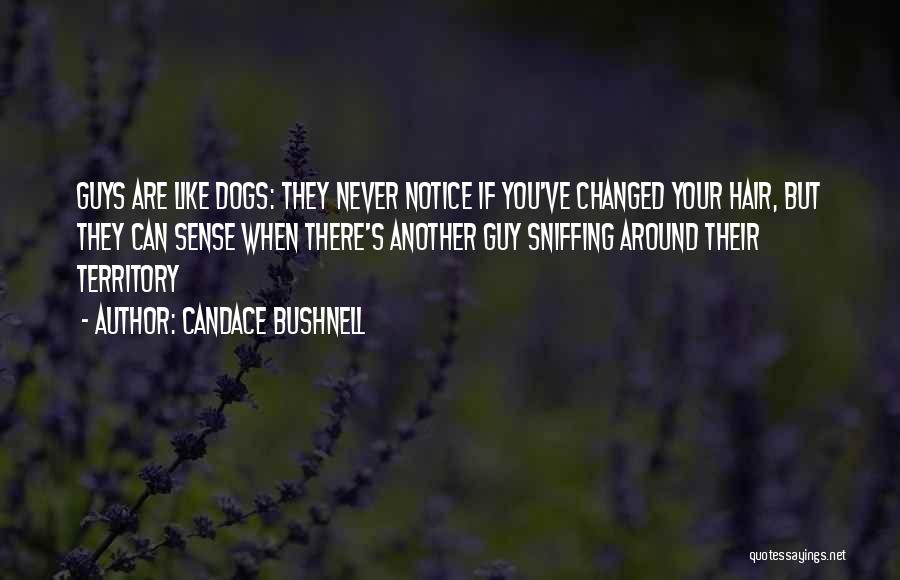 Candace Bushnell Quotes: Guys Are Like Dogs: They Never Notice If You've Changed Your Hair, But They Can Sense When There's Another Guy