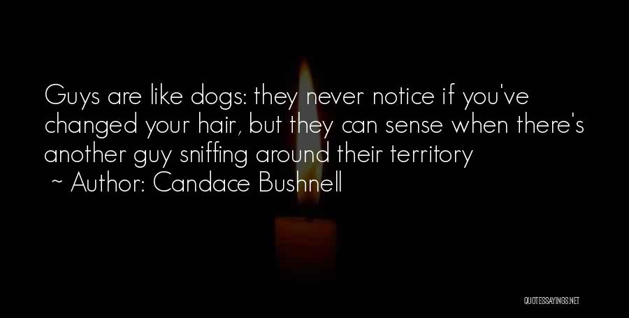 Candace Bushnell Quotes: Guys Are Like Dogs: They Never Notice If You've Changed Your Hair, But They Can Sense When There's Another Guy