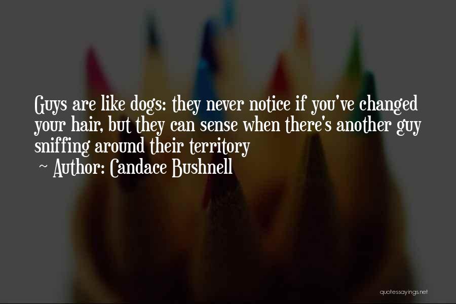 Candace Bushnell Quotes: Guys Are Like Dogs: They Never Notice If You've Changed Your Hair, But They Can Sense When There's Another Guy