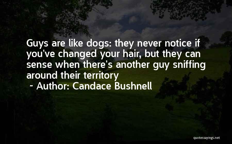 Candace Bushnell Quotes: Guys Are Like Dogs: They Never Notice If You've Changed Your Hair, But They Can Sense When There's Another Guy