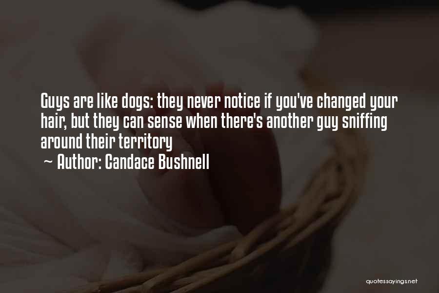 Candace Bushnell Quotes: Guys Are Like Dogs: They Never Notice If You've Changed Your Hair, But They Can Sense When There's Another Guy