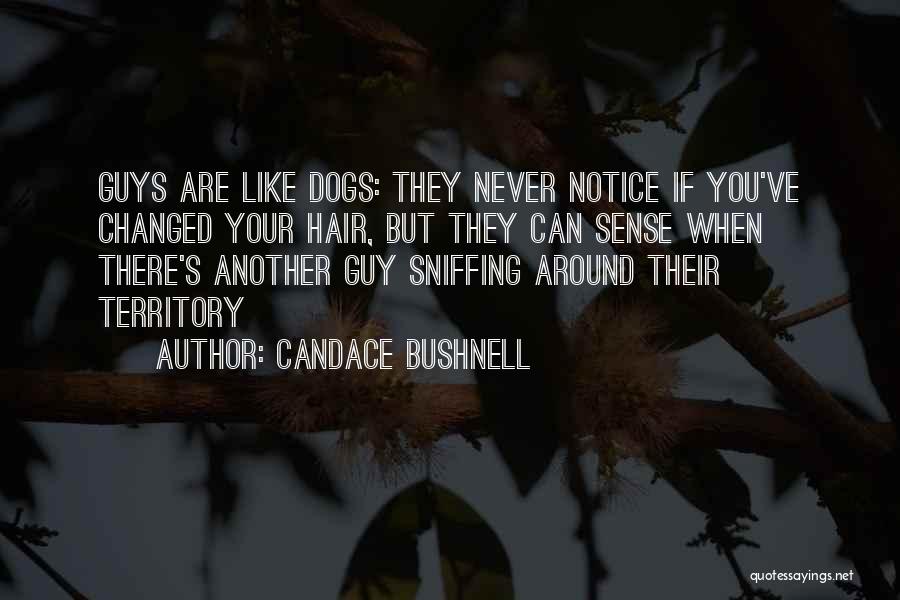 Candace Bushnell Quotes: Guys Are Like Dogs: They Never Notice If You've Changed Your Hair, But They Can Sense When There's Another Guy