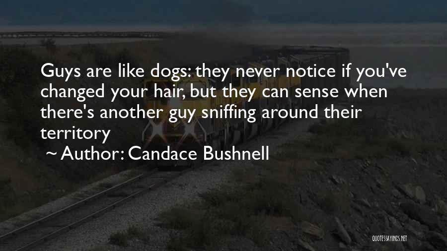 Candace Bushnell Quotes: Guys Are Like Dogs: They Never Notice If You've Changed Your Hair, But They Can Sense When There's Another Guy