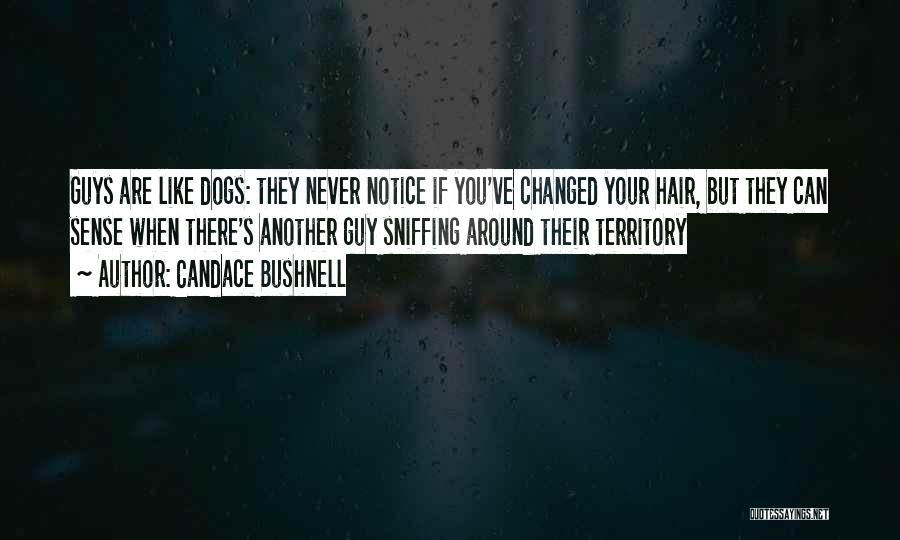 Candace Bushnell Quotes: Guys Are Like Dogs: They Never Notice If You've Changed Your Hair, But They Can Sense When There's Another Guy