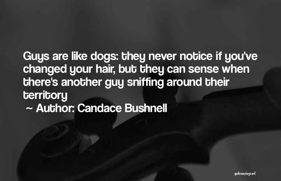 Candace Bushnell Quotes: Guys Are Like Dogs: They Never Notice If You've Changed Your Hair, But They Can Sense When There's Another Guy