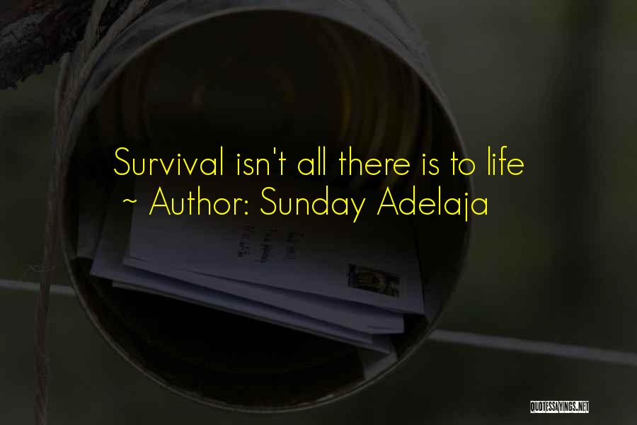 Sunday Adelaja Quotes: Survival Isn't All There Is To Life