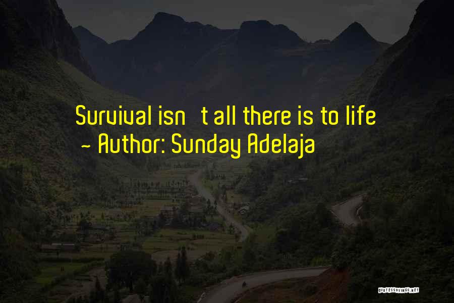 Sunday Adelaja Quotes: Survival Isn't All There Is To Life