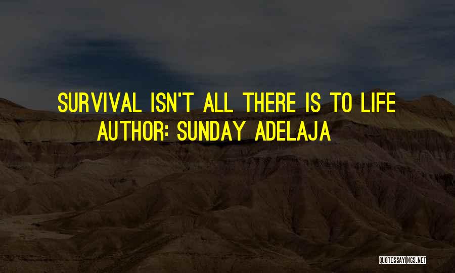 Sunday Adelaja Quotes: Survival Isn't All There Is To Life