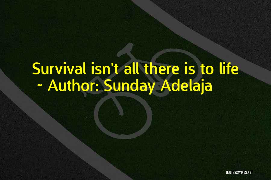 Sunday Adelaja Quotes: Survival Isn't All There Is To Life