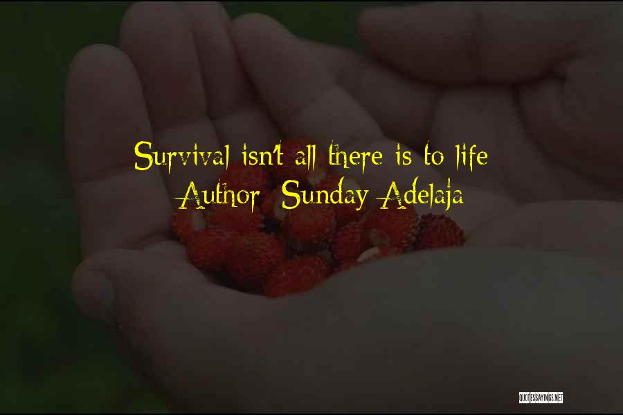 Sunday Adelaja Quotes: Survival Isn't All There Is To Life