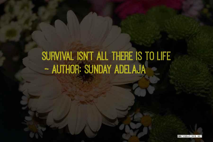 Sunday Adelaja Quotes: Survival Isn't All There Is To Life