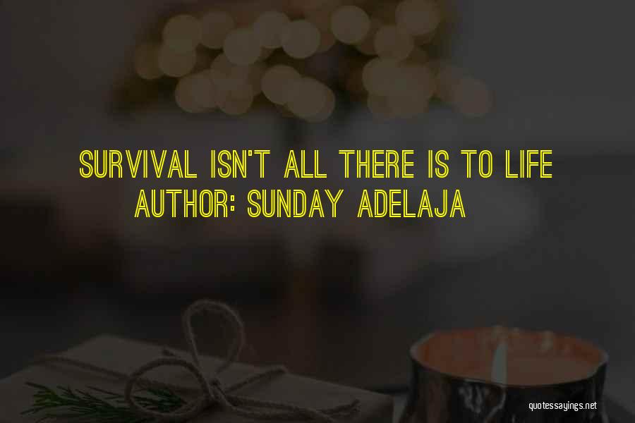 Sunday Adelaja Quotes: Survival Isn't All There Is To Life