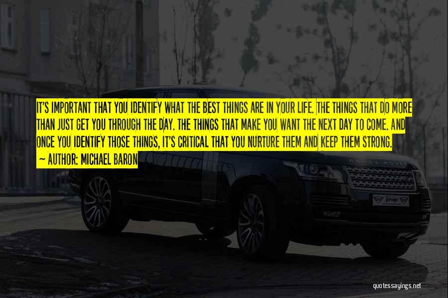 Michael Baron Quotes: It's Important That You Identify What The Best Things Are In Your Life. The Things That Do More Than Just