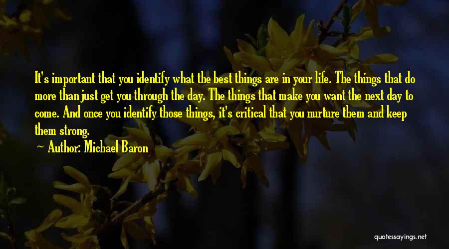 Michael Baron Quotes: It's Important That You Identify What The Best Things Are In Your Life. The Things That Do More Than Just