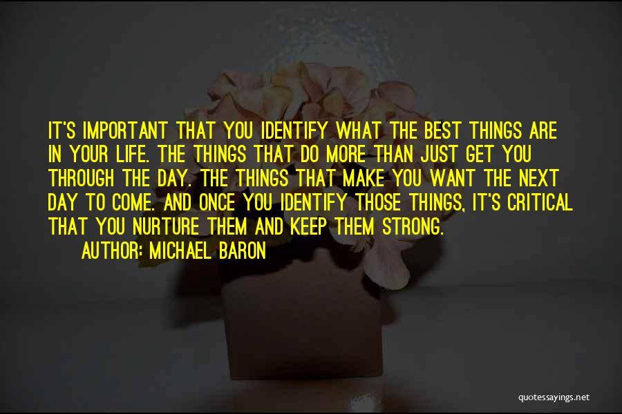 Michael Baron Quotes: It's Important That You Identify What The Best Things Are In Your Life. The Things That Do More Than Just