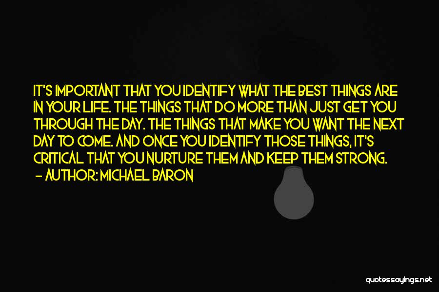 Michael Baron Quotes: It's Important That You Identify What The Best Things Are In Your Life. The Things That Do More Than Just