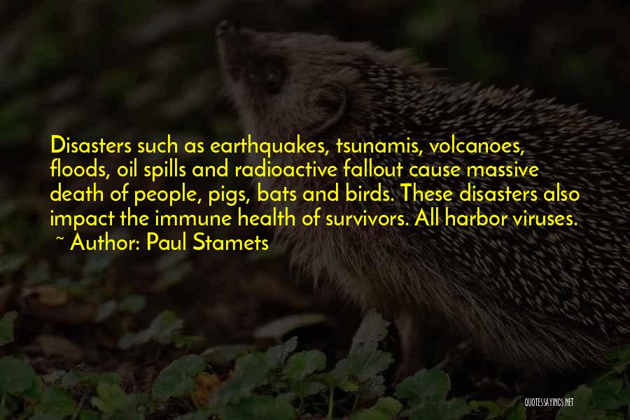 Paul Stamets Quotes: Disasters Such As Earthquakes, Tsunamis, Volcanoes, Floods, Oil Spills And Radioactive Fallout Cause Massive Death Of People, Pigs, Bats And