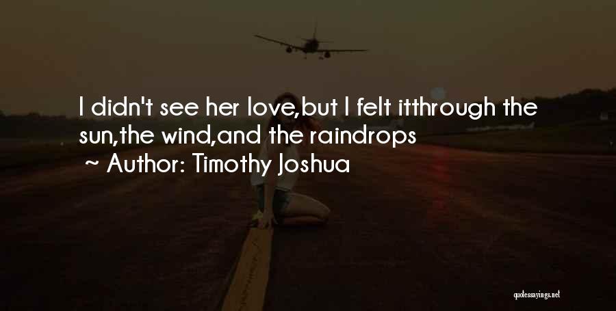 Timothy Joshua Quotes: I Didn't See Her Love,but I Felt Itthrough The Sun,the Wind,and The Raindrops