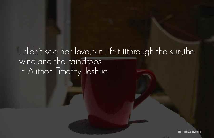 Timothy Joshua Quotes: I Didn't See Her Love,but I Felt Itthrough The Sun,the Wind,and The Raindrops