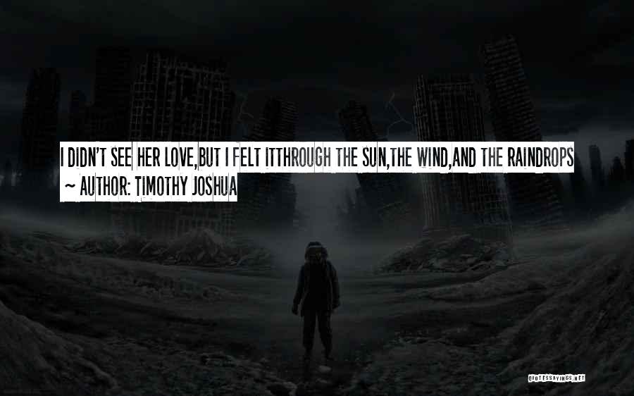 Timothy Joshua Quotes: I Didn't See Her Love,but I Felt Itthrough The Sun,the Wind,and The Raindrops