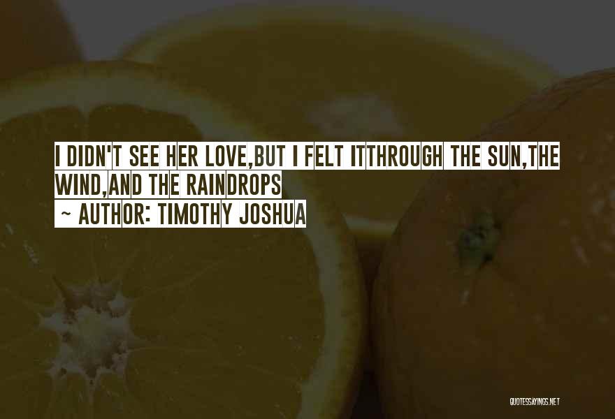 Timothy Joshua Quotes: I Didn't See Her Love,but I Felt Itthrough The Sun,the Wind,and The Raindrops